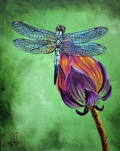 Blue Dragonfly EPacket  Marco Aguilar