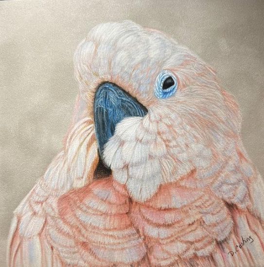 Pretty in Pink EPacket Debbie Cushing