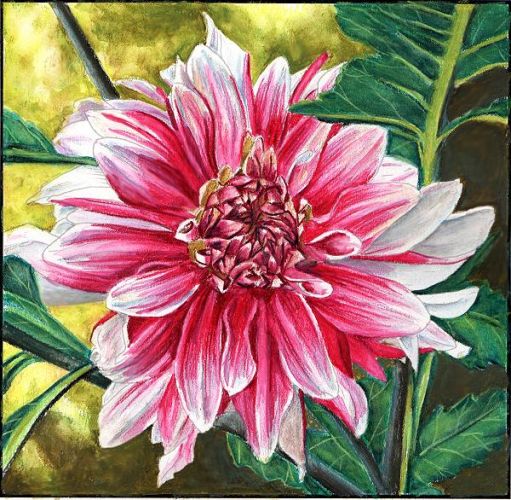 Duet Dahlia EPacket Mark Menendez