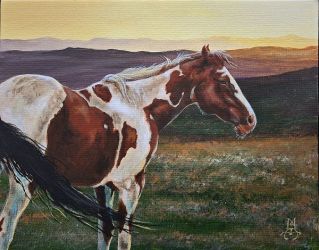 Painted Pony EpacketMarco Aguilar