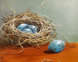 Blackbird Eggs and Nest  Marco Aguilar Dec. 7, 2022