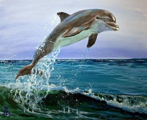 Dolphin Dance EPacket Marco Aguilar