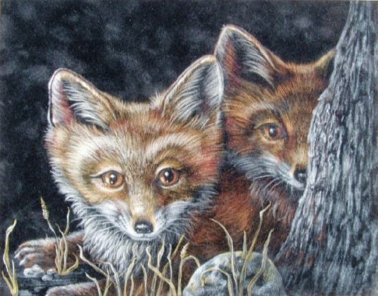 Hide & Seek Foxes EPacket  Tina Sue Norris