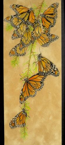 Migration EPacket  Tina Sue Norris