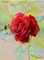 Crimson RoseMark Menendez Aug. 19 & 20, 2026