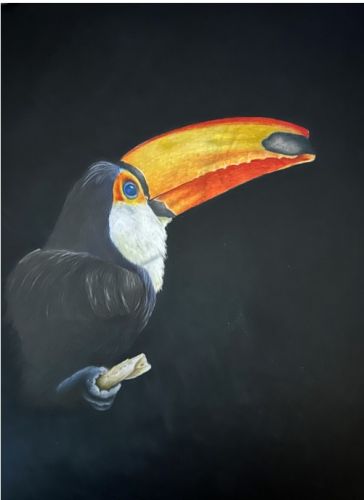 Toucan EPacket Patsy Deal